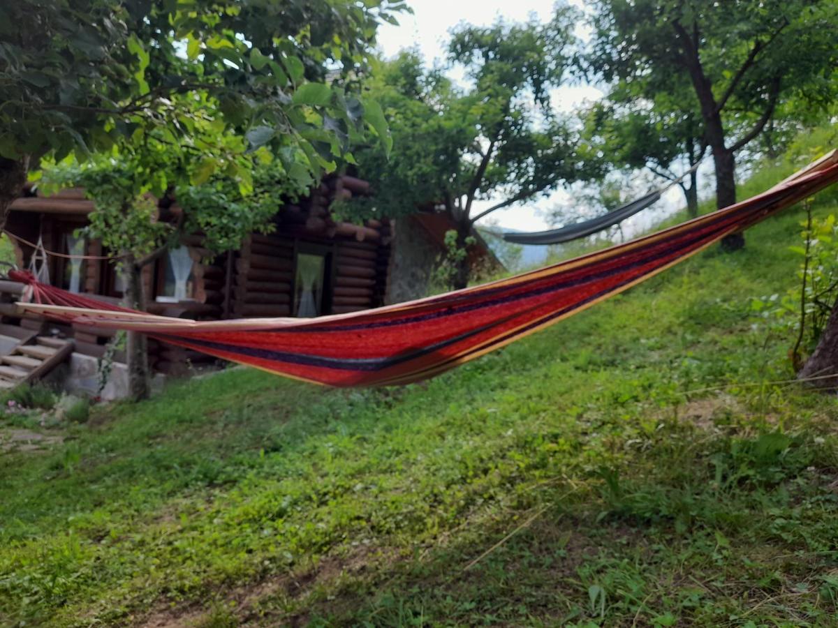 Cabana din Revier Viseu de Jos Exterior foto