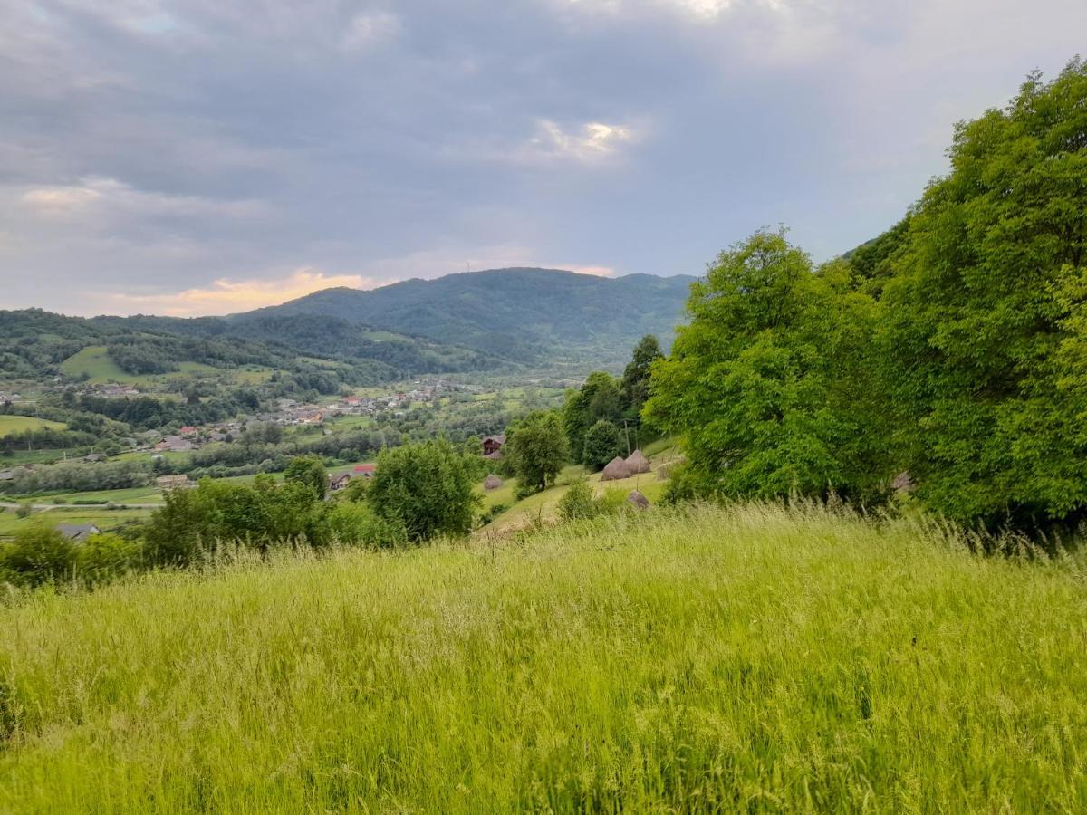 Cabana din Revier Viseu de Jos Exterior foto