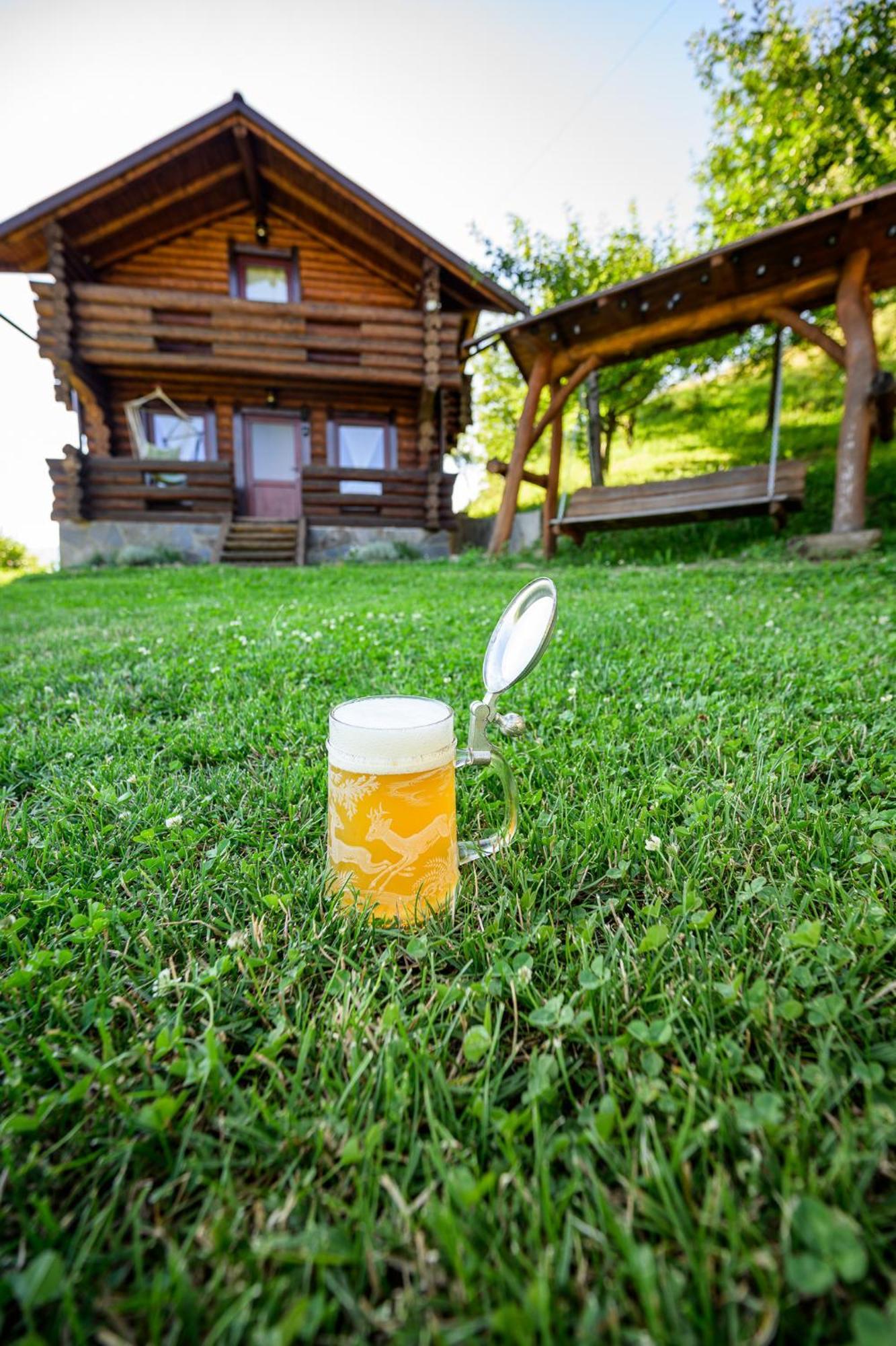 Cabana din Revier Viseu de Jos Exterior foto